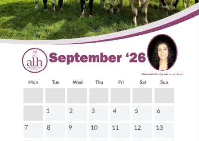 Alhomecare - Empleo para cuidadores en Irlanda